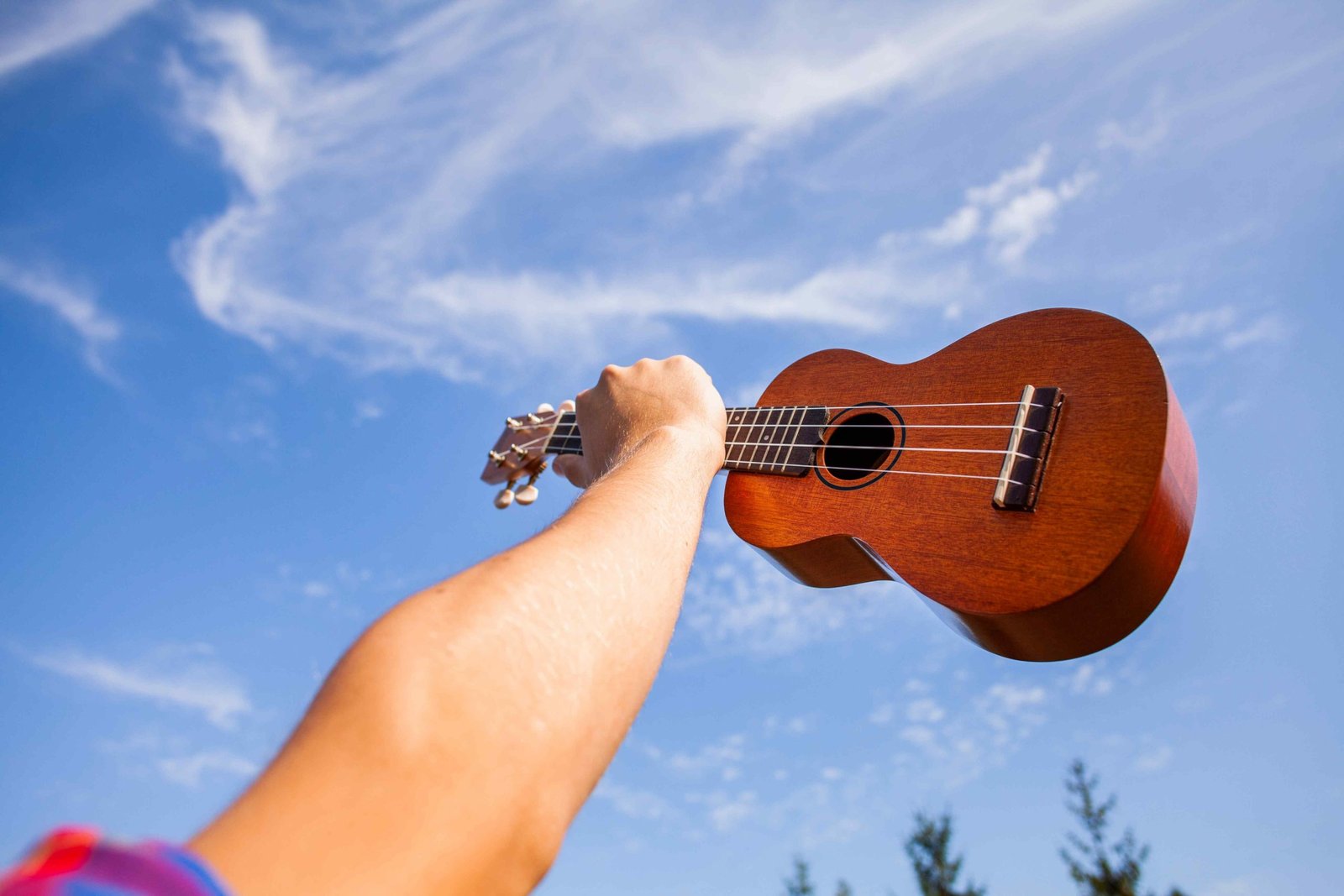 Ukulele Strings 101 The Ultimate Buyer's Guide Your Audio Fix